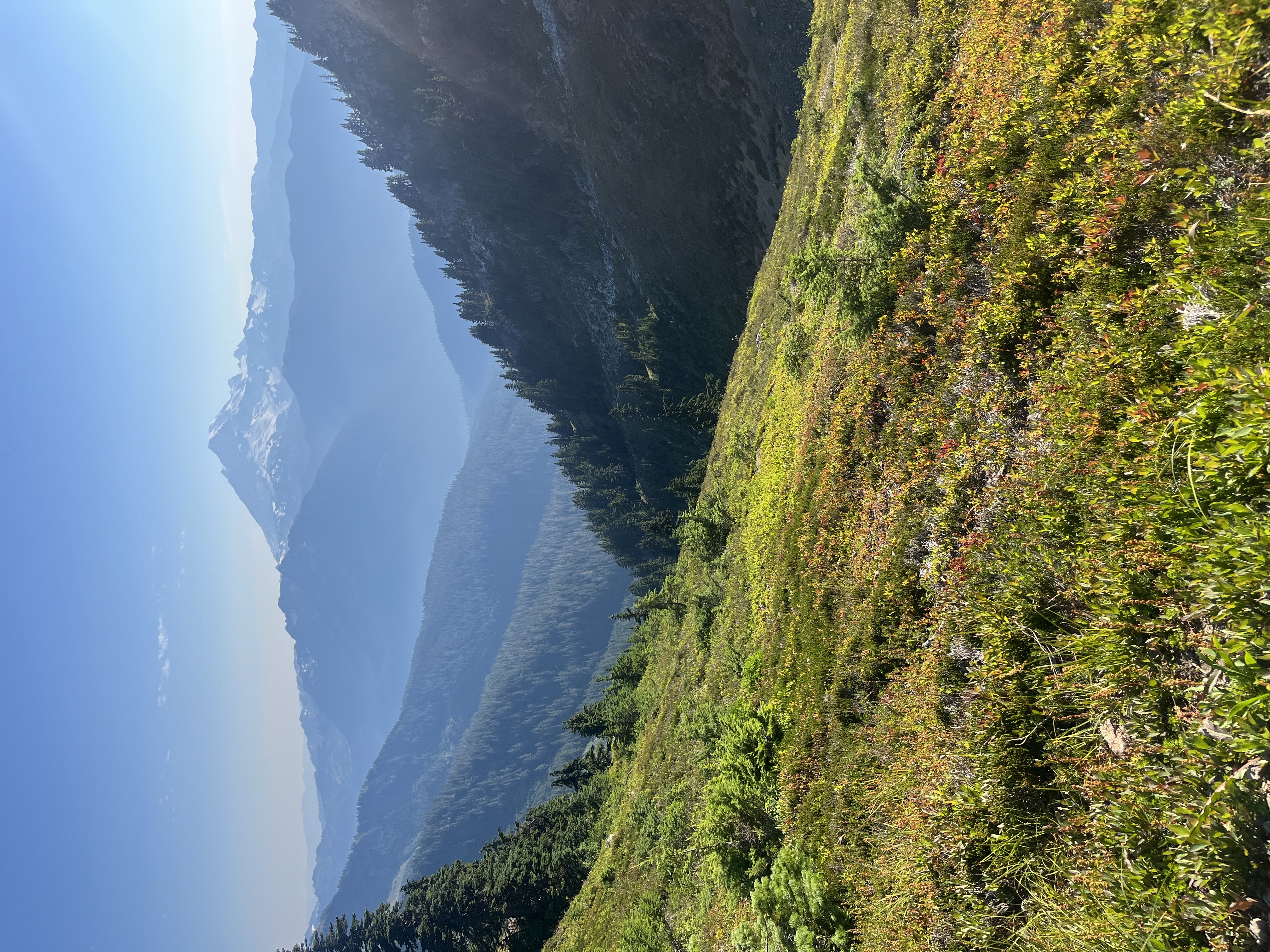 Sports activities illustration